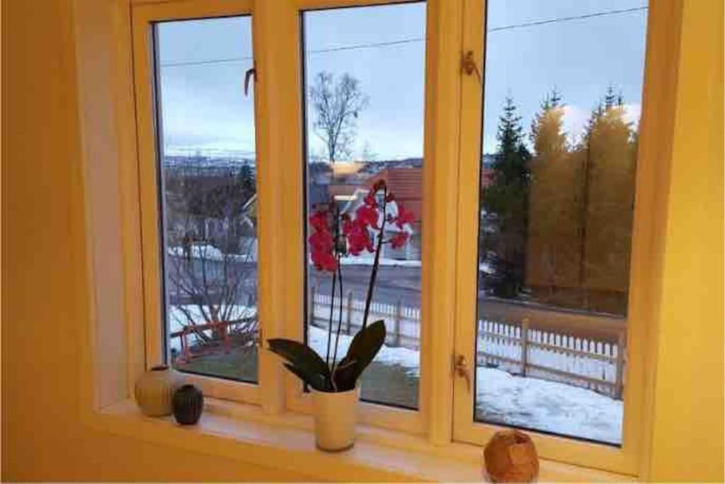 Villa Arctica Tromsø Exterior foto